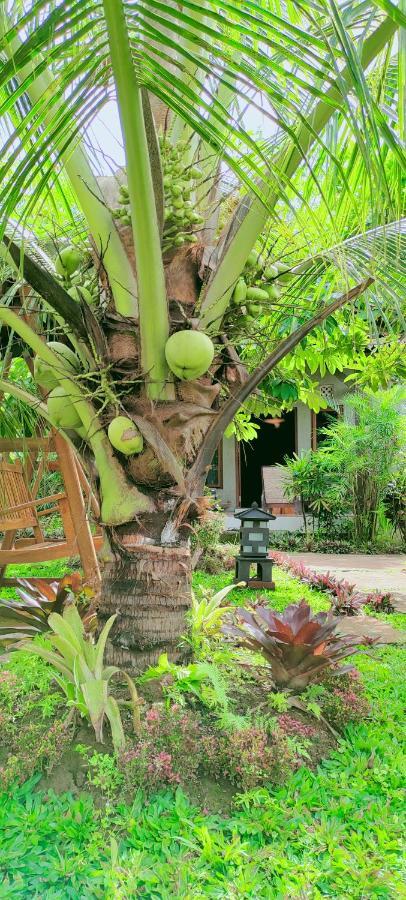 Java Turtle Lodge Meru Betiri Бануванги Екстериор снимка