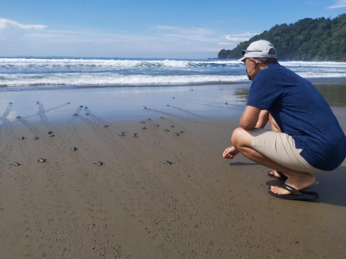Java Turtle Lodge Meru Betiri Бануванги Екстериор снимка