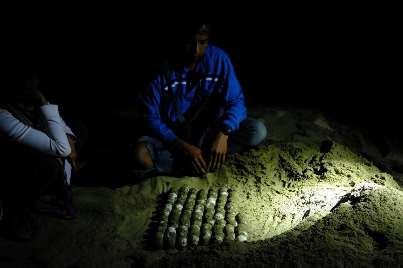 Java Turtle Lodge Meru Betiri Бануванги Екстериор снимка
