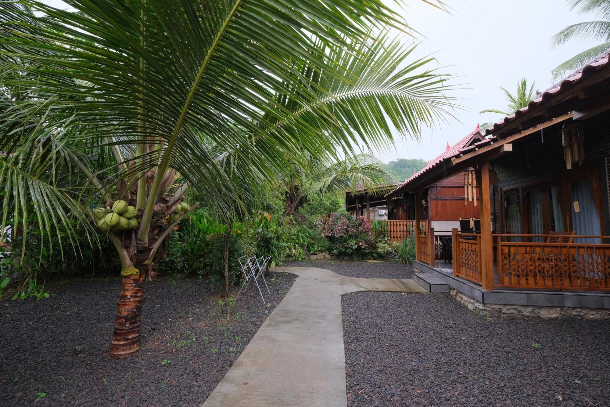 Java Turtle Lodge Meru Betiri Бануванги Стая снимка