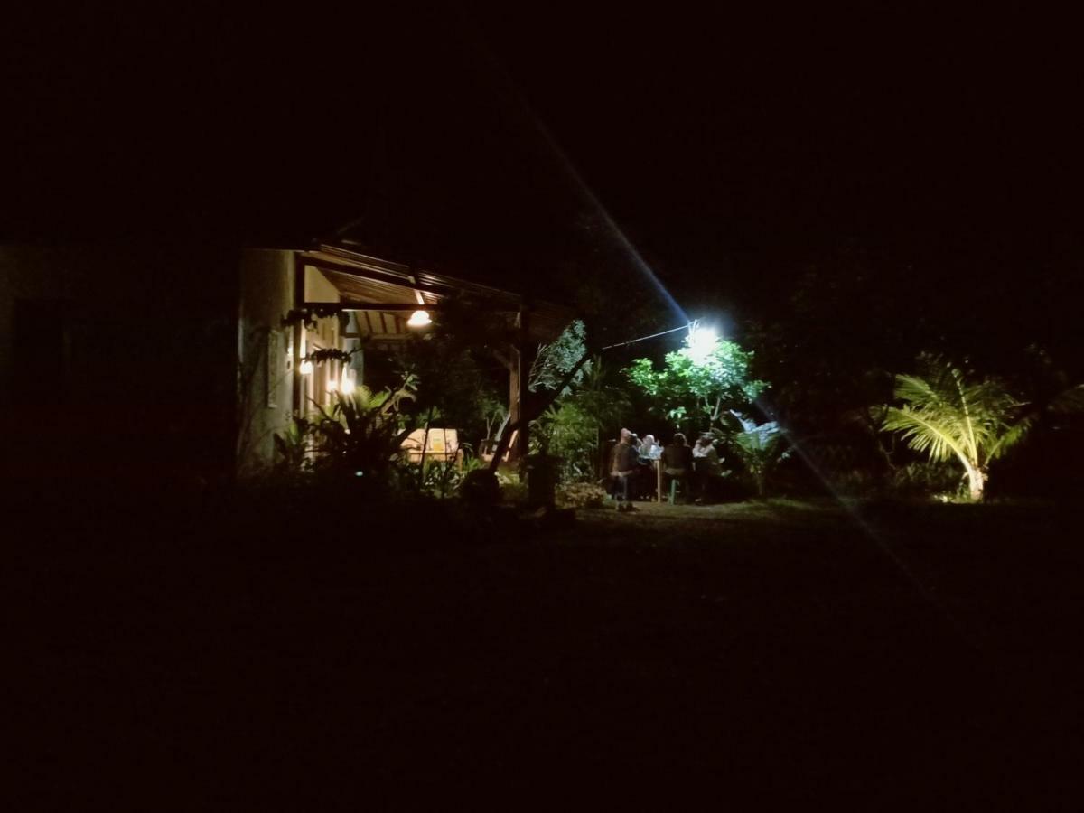 Java Turtle Lodge Meru Betiri Бануванги Екстериор снимка